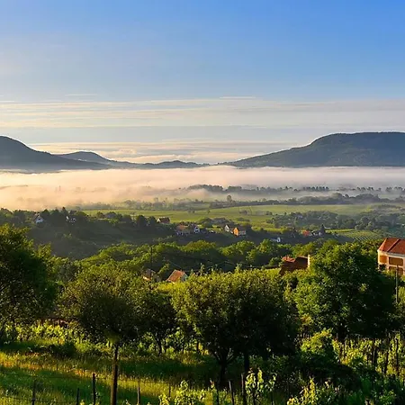 Balaton Soul House Apartment Vonyarcvashegy